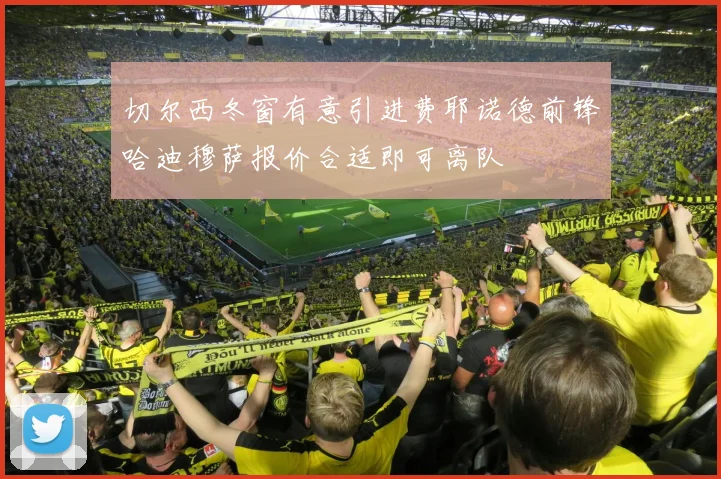 切尔西冬窗有意引进费耶诺德前锋哈迪穆萨报价合适即可离队