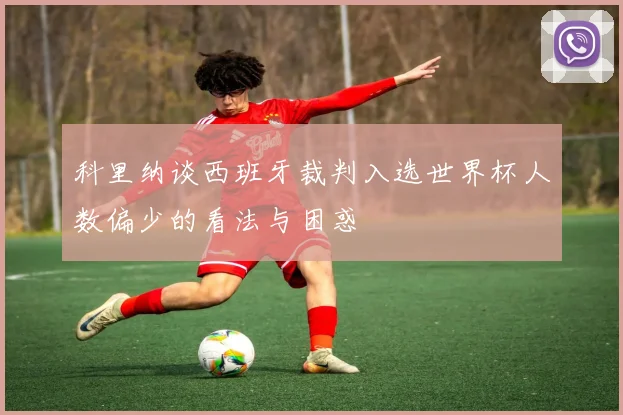 科里纳谈西班牙裁判入选世界杯人数偏少的看法与困惑