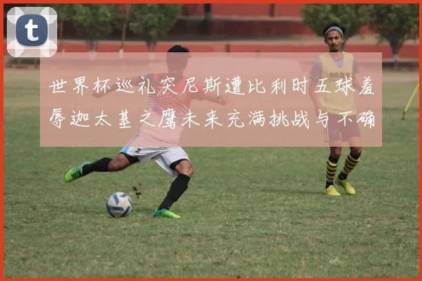 世界杯巡礼突尼斯遭比利时五球羞辱迦太基之鹰未来充满挑战与不确定性