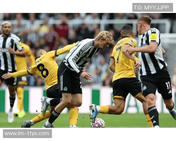 帕尔梅拉斯接近签下狼队前锋阿里亚斯交易进入最后阶段